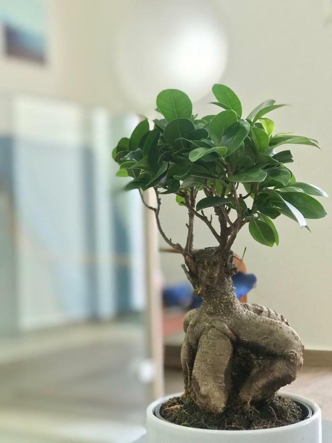דירות שטובל Casa Do Poeta מראה חיצוני תמונה